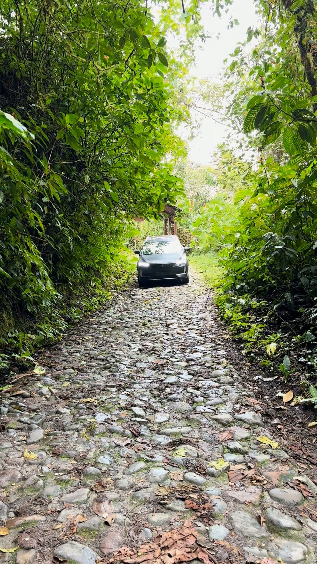 The black Skywell BE11, headlights on, in the cloud forest near Mindo.